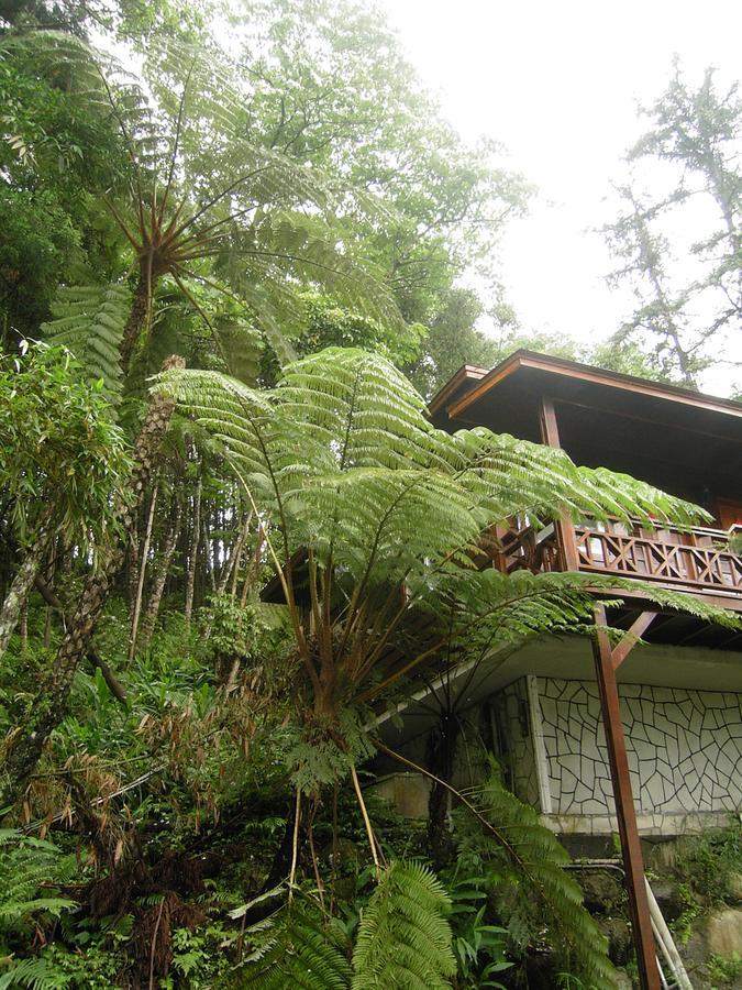 Fumei Bluebird Homestay 南庄郷 エクステリア 写真